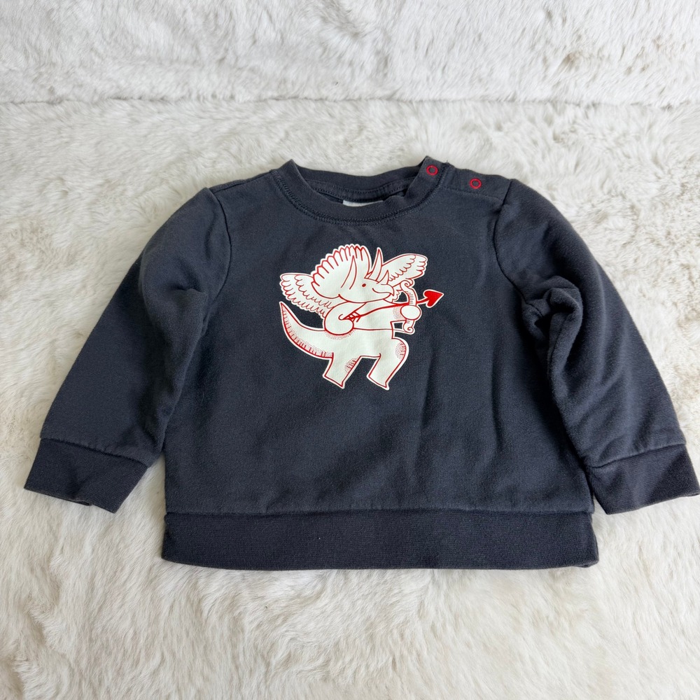 Cat & Jack Baby Cupid Triceratops Dinosaur Gray Sweatshirt 6-9M